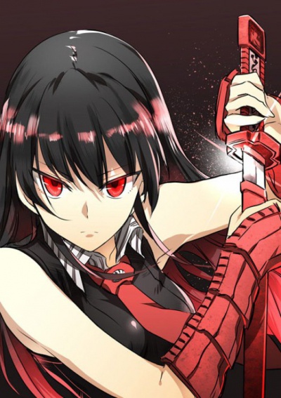 Akame ga Kill /  