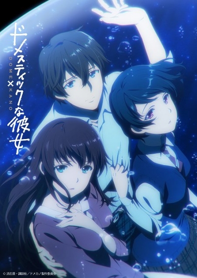 Домекано / Domestic na Kanojo